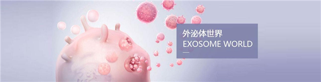 綻放(fàng)女(nǚ)性第二春——幹細胞外(wài)泌體(tǐ)