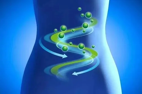 腸道(dào)微(wēi)生(shēng)态失衡有(yǒu)什(shén)麽表現(xiàn)？早知(zhī)道(dào)，早預防！