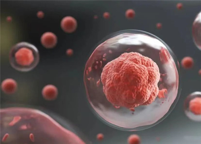 胎盤間(jiān)充質幹細胞改善高(gāo)血脂，有(yǒu)效防止并發症！