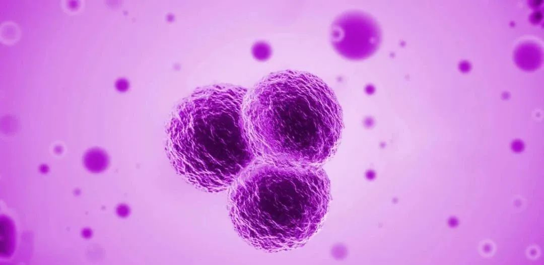 案例 | 幹細胞治療卵巢早衰，有(yǒu)效改善卵巢功能(néng)