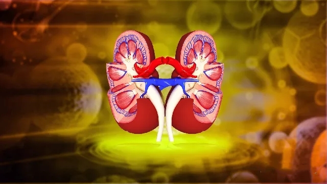 間(jiān)充質幹細胞：急性腎損傷治療的(de)新利器(qì)