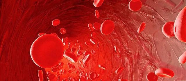 血液淨化(huà)丨清除毒素，血液好(hǎo)，身(shēn)體(tǐ)才能(néng)好(hǎo)！