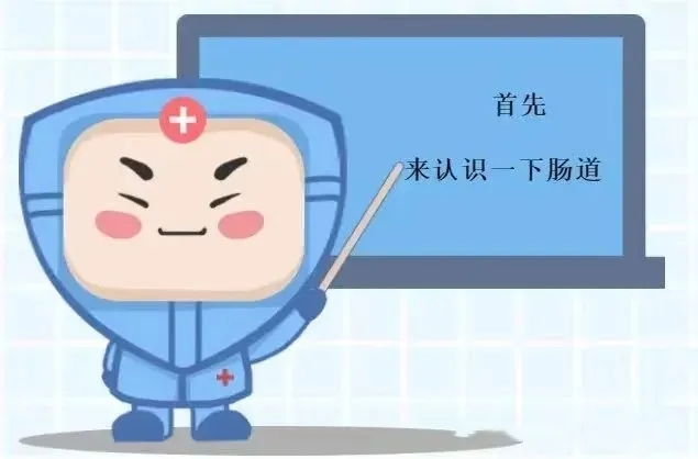 懂(dǒng)得(de)“腸”壽，才能(néng)長(cháng)壽