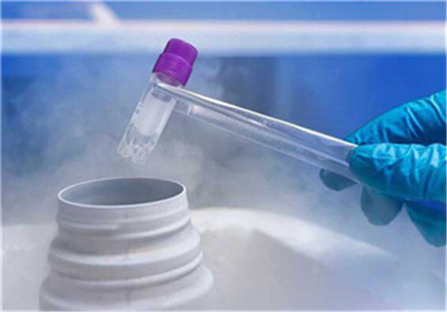 哪些(xiē)人(rén)應該提前儲存免疫細胞？