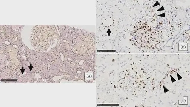 640.webp (6) (1).jpg