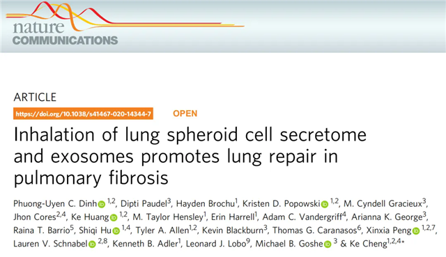 640.webp (4)_副本.png