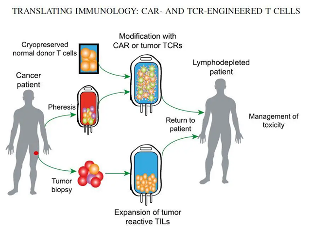 640.webp (13)_副本1.png