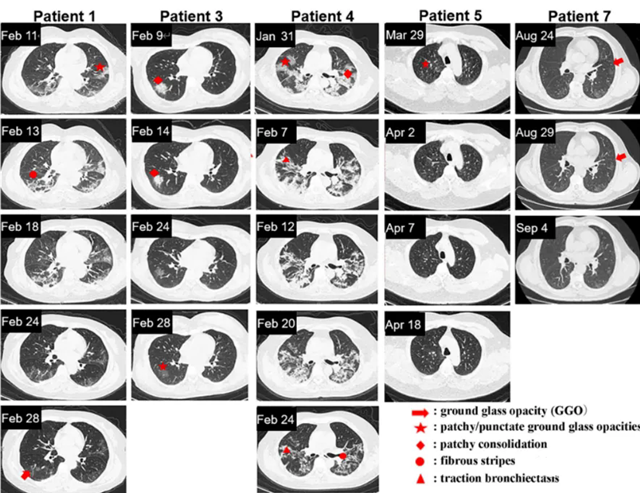 640.webp (5)_副本.png