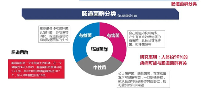 640.webp (2)_副本1.jpg