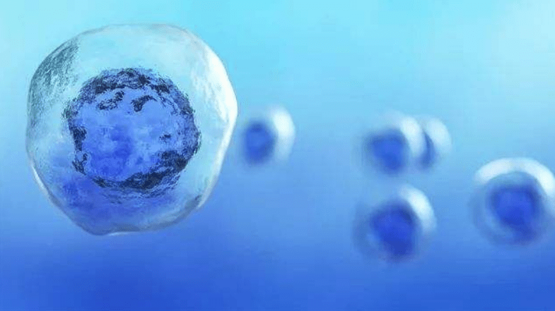 回輸到(dào)體(tǐ)內(nèi)的(de)幹細胞修複能(néng)力有(yǒu)多(duō)強？6個(gè)真實案例告訴您