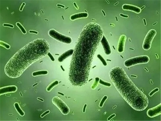 腸健康，才能(néng)常健康！