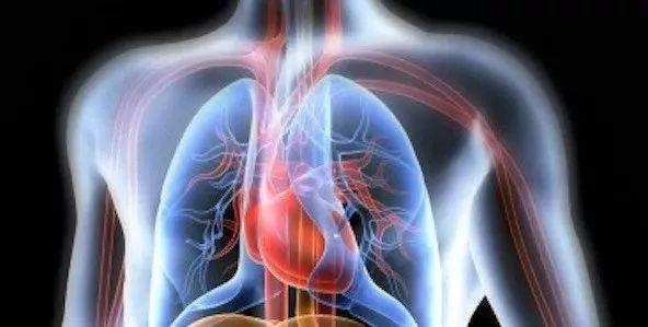 心肺修複營養療法 | 保護心肌，提高(gāo)機(jī)體(tǐ)免疫力