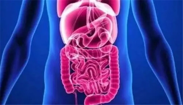 腸道(dào)健康有(yǒu)多(duō)重要(yào)，你(nǐ)知(zhī)道(dào)嗎(ma)？
