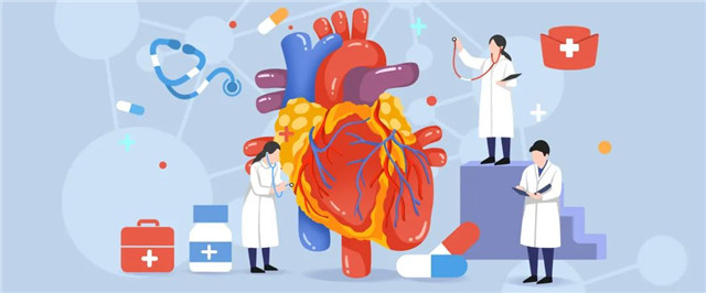 心血管疾病難康複？免疫細胞提供新思路(lù)！