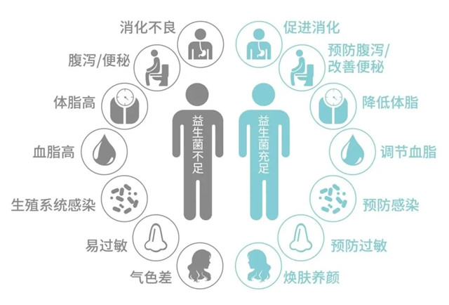 640.webp (4)_副本.jpg