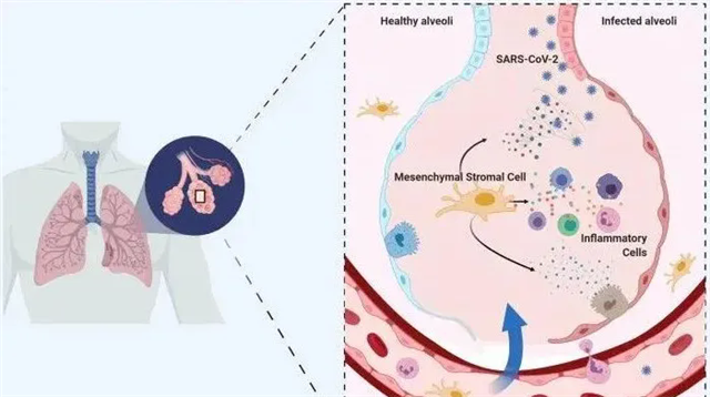 640.webp (3)_副本.png